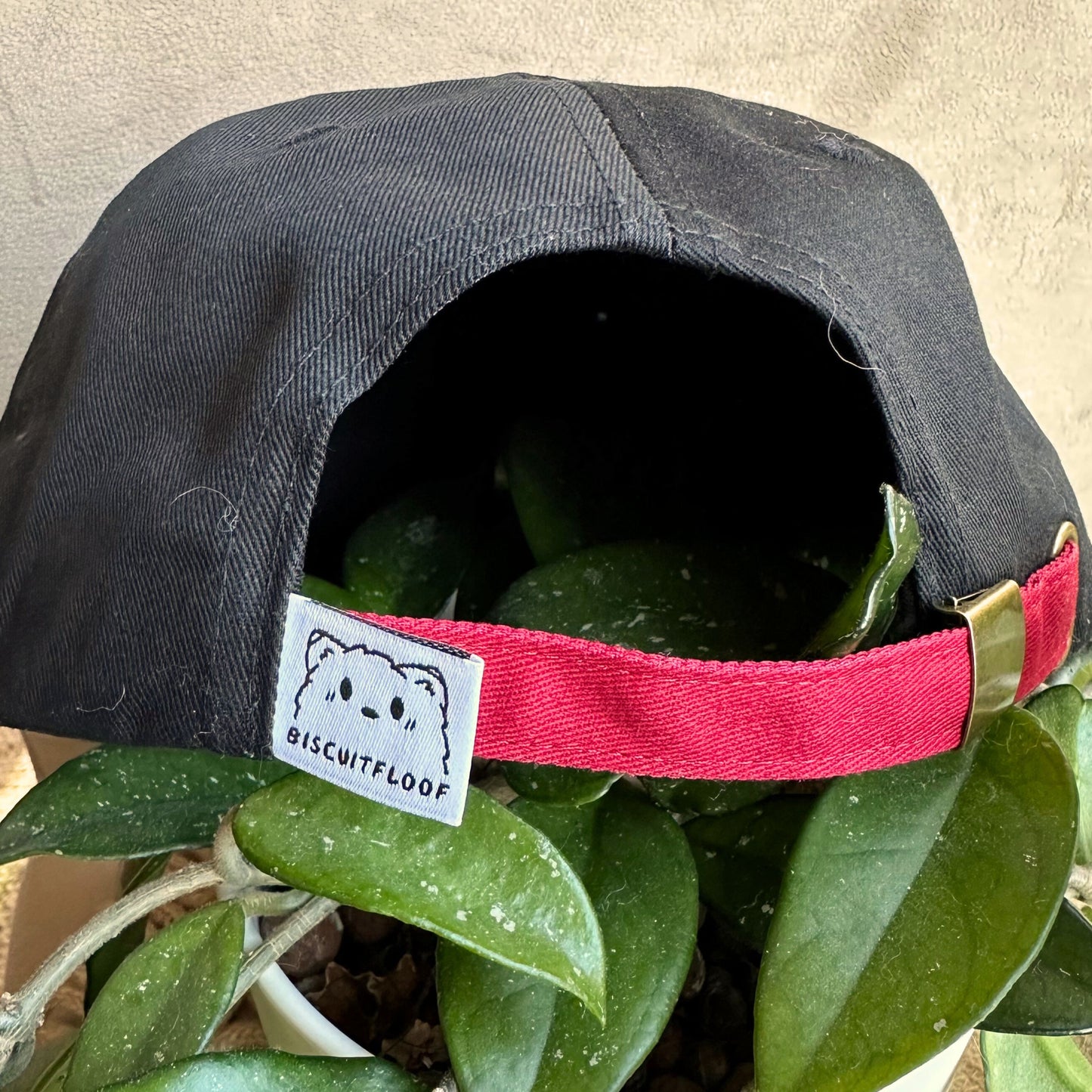 LNY Lucky Cat Baseball Caps